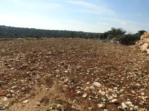 Narlıkuyu Hasanaliler De Deniz Ve Kale Manzaralı Satılık 1400 M2 Tarla!!! 1