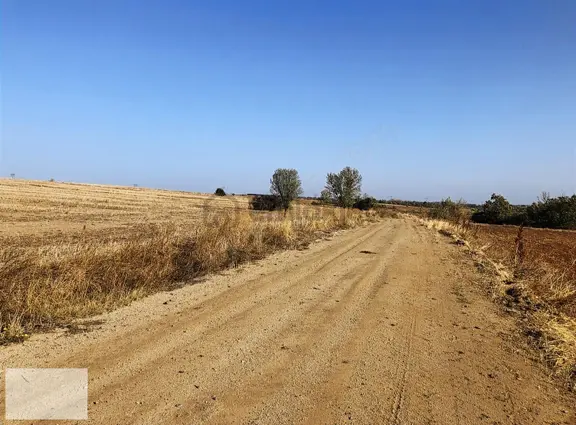 Edirne Uzunköprü Değirmenci Köyünde 352m2 Hisse 2