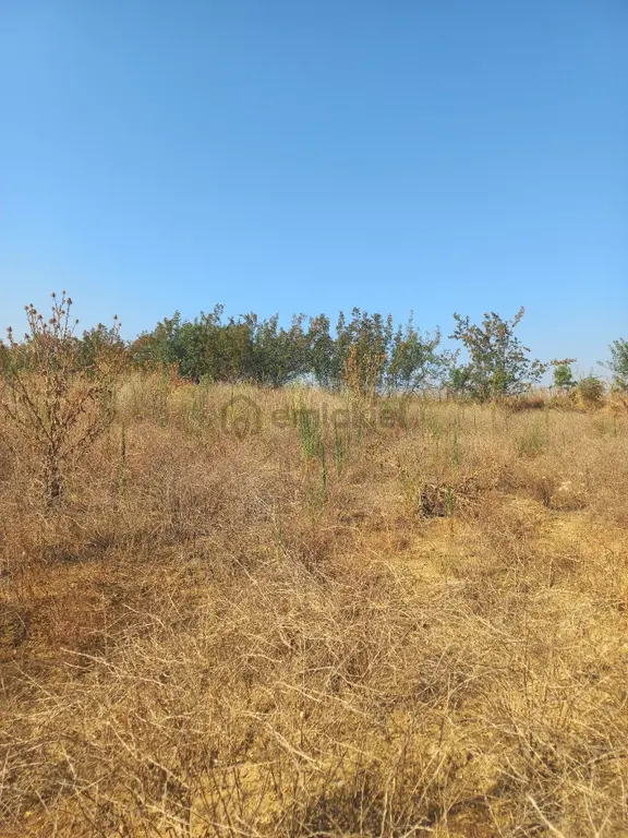 Acil Bilecik Söğüt'de Gecitli Köyüne 1 Km Yakınlıkta Tarla 1