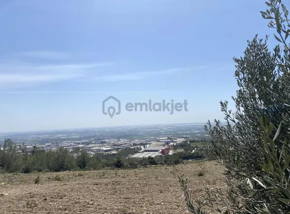 Tarsus Nacarlı Osb Ye Sıfır Müstakil Arsa Yatırımlık 2