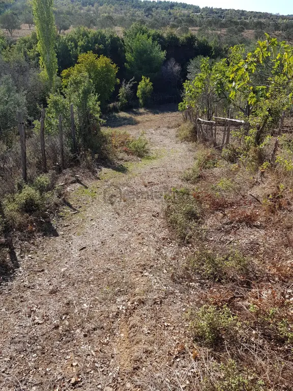 Kazdağlarında Tarla 1
