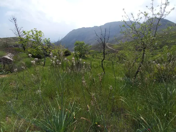 Yenikaş Yağrat Yaylası 1206m² Deniz Manzaralı 1