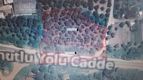 Büyük Kumlada Satılık Zeytinlik 4580m2. Asfalta Cephe Elk.su Var 1