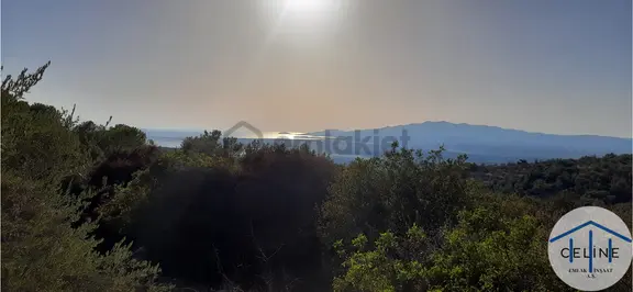 R4-zeytindağda Full Deniz Manzaralı 18 Dönüm Kadastral Yola 200 Metre Cepheli Tarla 1