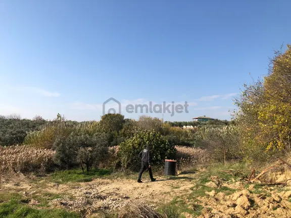Şarköy De Işıık Emlaktan İğdebağları Mah De 2550 M2 Tarla 2