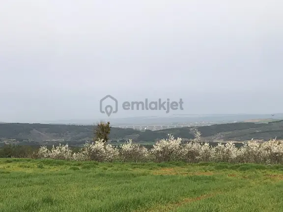 Şarköy De Işıık Emlaktan İsaklı Mah De 97.000 M2 Tarla 2