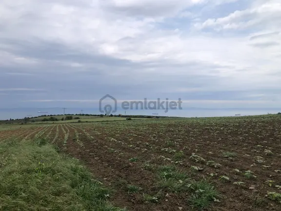 Şarköy De Işık Emlaktan Kocaali Mah De 1450 M2 Tarla 2