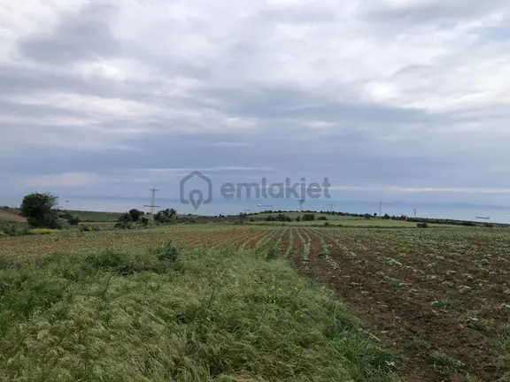 Şarköy De Işık Emlaktan Kocaali Mah De 1450 M2 Tarla 1