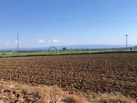 Şarköy De Işık Emlaktan Kavak Mah De 38.000 M2 Tarla 2