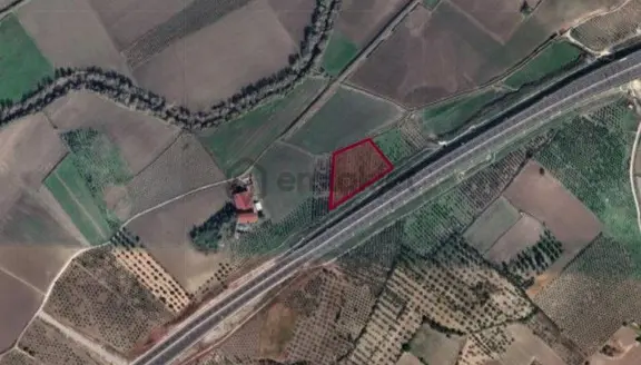 R5- Çandarlı Limanı Bölgesinde Otoban Yanında 9.3 Dönüm Tarla 2