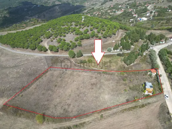 Kocaeli Karamürsel Fulacık Satılık 4985 M2 Tarla 1