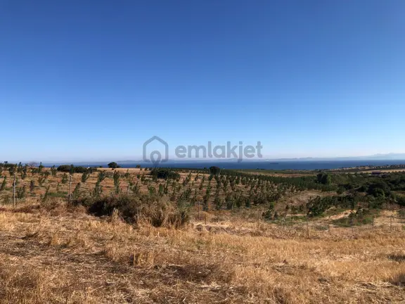 Şarköy De Işık Emlaktan Kızılcaterzi Mah De 6770 M2 Tarla 2