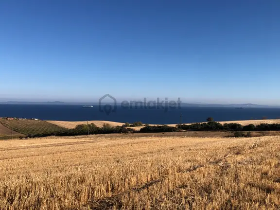 Şarköy De Işık Emlaktan Kızılcaterzi Mah De 8481 M2 Tarla 1