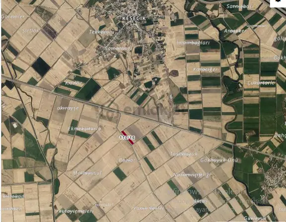 Özpınar ,dan Kisecik Satılık Sulu Tarla 4312 M2 Yolu Var 7 Km Merkeze 2
