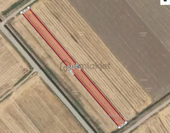Özpınar ,dan Kisecik Satılık Sulu Tarla 4312 M2 Yolu Var 7 Km Merkeze 1