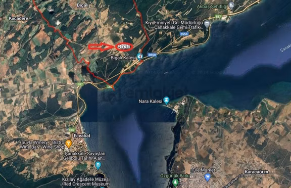 Acil-eceabat Bigalı Köyünde Kelepir Zeytinlik 1
