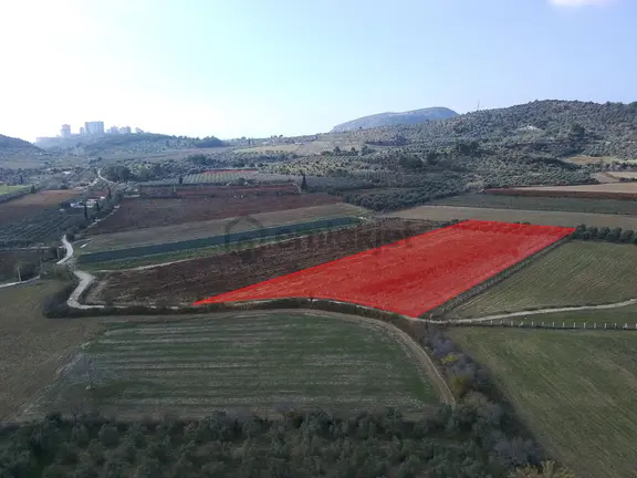 Kuşadası Değirmendere De Satılık 12400 M2 Zeytin, Bağ Ve Ceviz Bahçesi 1
