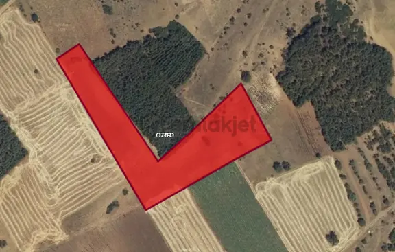Satlık Denizli Acıpayam Akalan Mah 10.314,62 M Tarla 2