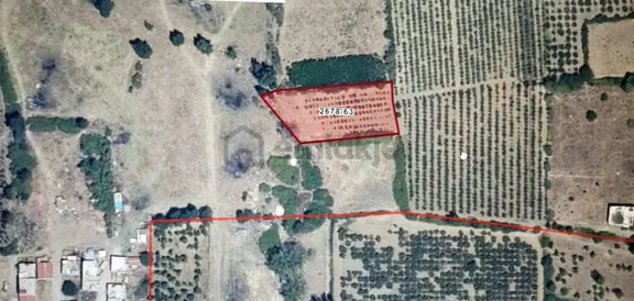 Bursa Kılıç Tan Vakıf Merkezde Satılık 1800m2 Şeftali Bahçesi 1