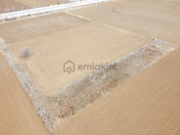 Denizli Baklan Konak Da 1103 M2 Tek Tapu Tarla Karadeniz Emlakta 2