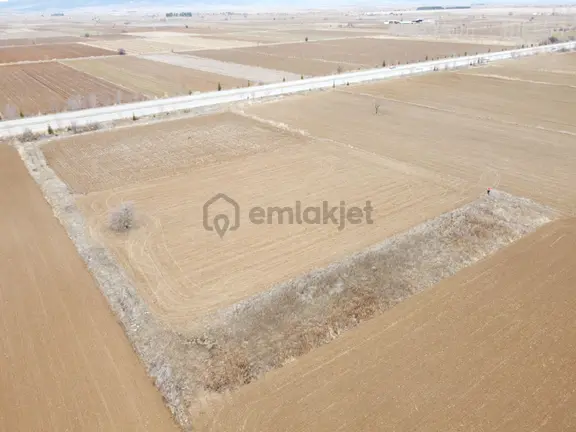 Denizli Baklan Konak Da 1103 M2 Tek Tapu Tarla Karadeniz Emlakta 1