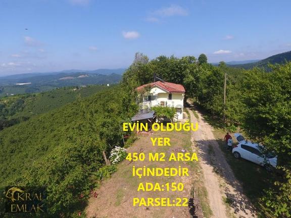 Deredibi Köyü İçinde Evi Olan 19.000 M2 Satılık Fındık Bahçesi 1