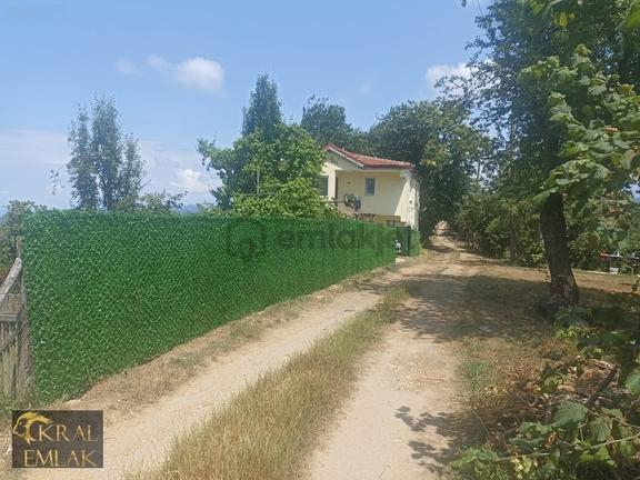 Deredibi Köyü İçinde Evi Olan 19.000 M2 Satılık Fındık Bahçesi 2