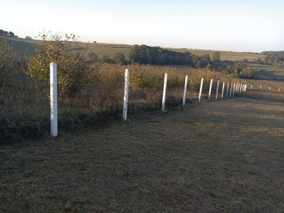 Kaynarca Kırktepede Yolu Olan Etrafı Çevrili Tarla... 1