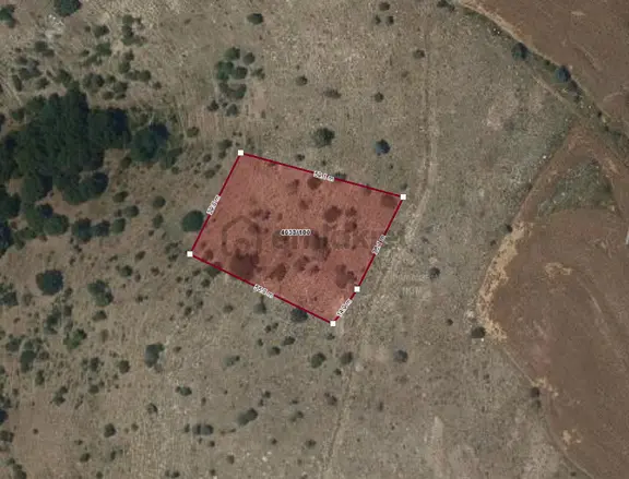 Sahibinden Bağlum'da İmara Yakın Sahibinden Tapulu Arazi 398 M2 Son Fiyat 1