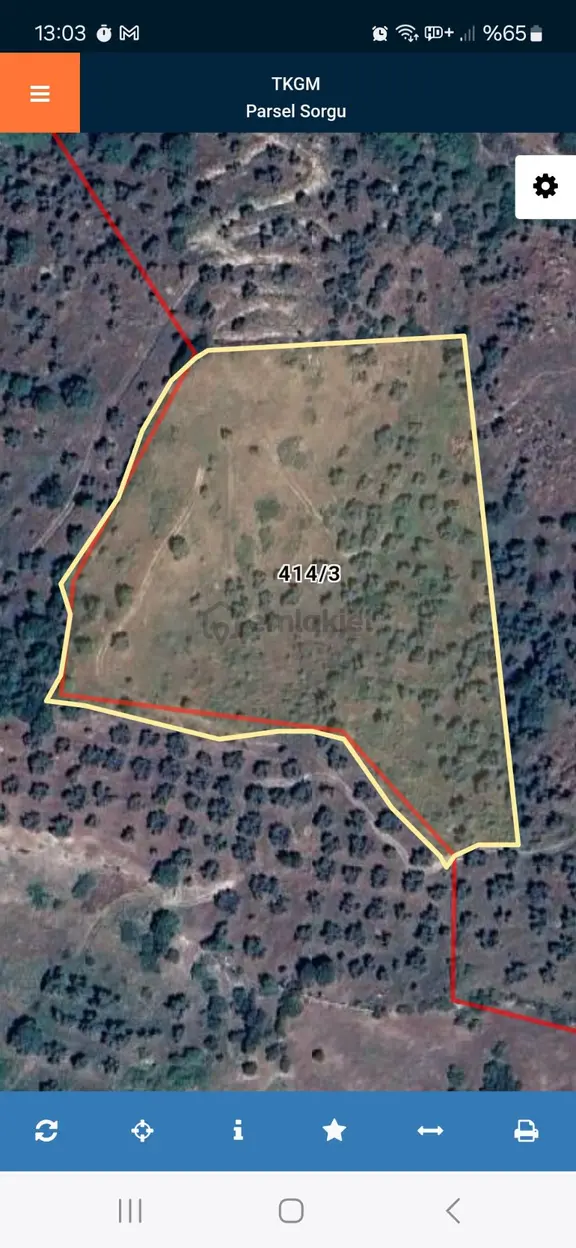 Aydın Nazilli Yöntem Emlaktan Yenipazar Donduran Mahallesinde Satılık Zeytinlik 2