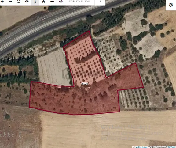 Özpınar,dan Çavuş Köyü Satılık 14 395 M2 Yol Kıyısı 60 M . Ceviz Bahçesi 1