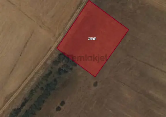 Satılık Tarla Ortaköy Balcı Köyde Tarla 230 1