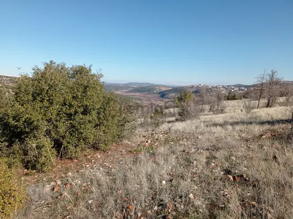 Şehitkamil Sarılar Da Satılık Fıstıklık 6.730.39 M2 2