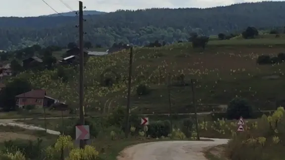 Sahibinden Bolu,merkez, Sebenardı Köyü,satılık 5.541 M2 Köyiçi Arsa 1