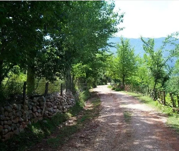 Sahibinden Üniversite Hocasından Doğa Harikası Villalık Köyiçi Çok Geniş Satlık Arsa 2