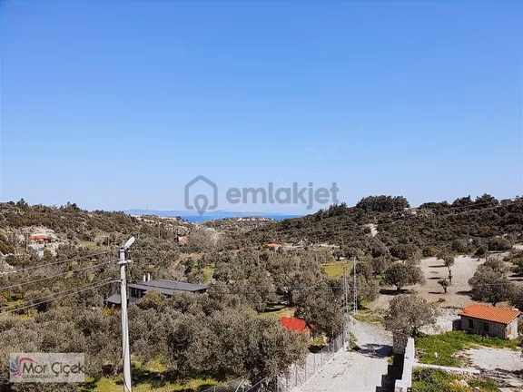 Morçiçek'ten Mordoğan Köyüne Çok Yakın Deniz Manzaralı Tarla 1