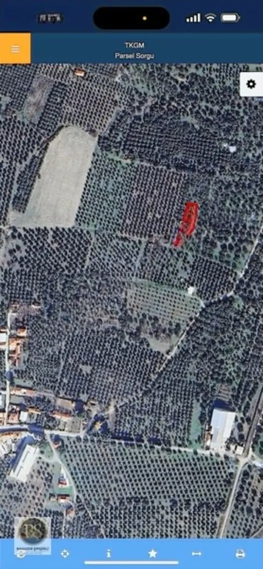 Medar'da 670m² Zeytinli Bahçe Köya Yakın Resmi Yola Cepheli 1