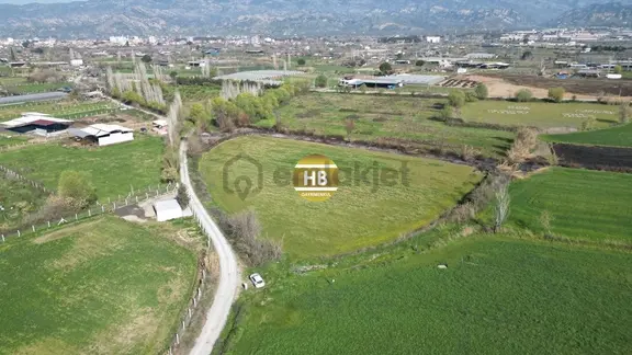 H'den Satılık Tarla, Kadastral Yol Cepheli Verimli Tarım Arazisi 2