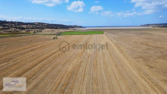 Denize Yakın Konumda Satılık 27.000 M2 Tarla 1
