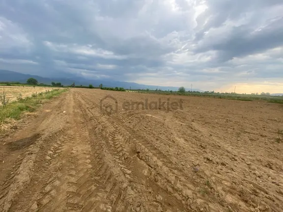 Gülcü Gayrimenkulden Üçeylül Mahallesinde Her İki Tarafı Yol Olan Satılık Tarla 2