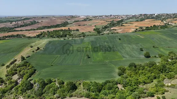 Ege Emlak'tan Paşayiğit Mahallesinde Fırsat Tarla 2