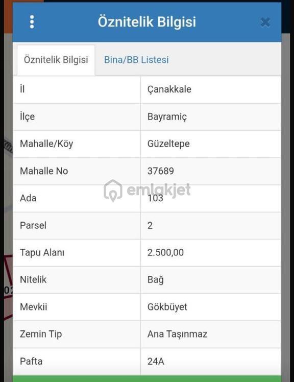 Bayramiç Guzeltepe Köyünde Satılık 2