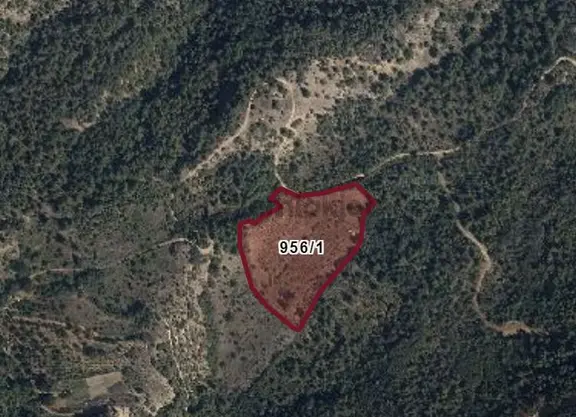 Mihalgazi Alpagut' Ta Satılık Tarla 1