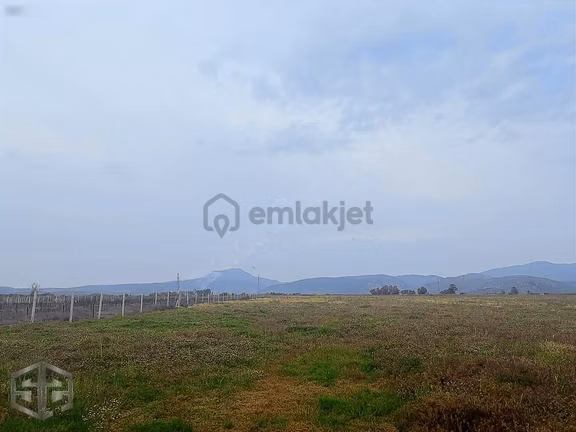 İzmir Selçuk Atatürk Mh 7.123m2 Boş Tarla 2