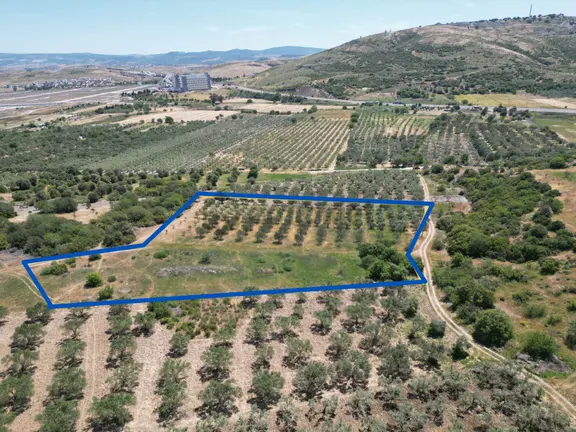 Çaltılıdere'de Kupon Satılık 4000m2 2