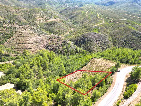 Alanya'da Satılık Yola Sıfır Acil Fırsat Tarla 1100 Metrekare 1