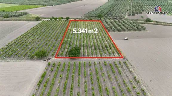 Zeki Emlak'tan Karayenice Mh. Yola Sıfır Satılık 5341 M ² Bağ 1