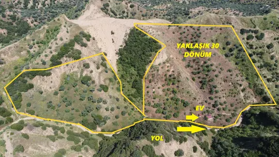 ✅✅ Nazilli Dereağzında 22 Dönüm Satılık Bahçe ✅✅ 1