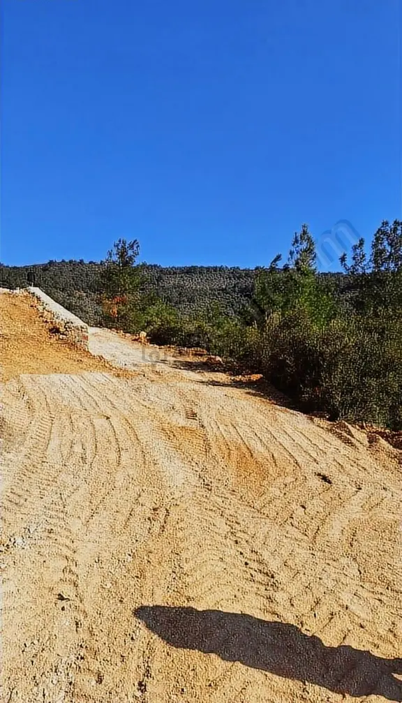 Torbalı Dirmilde Köye Yakin 516 M2 Tapulu Tarla 2