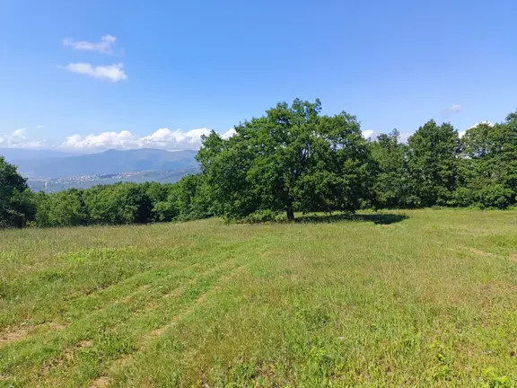 Gemlik Adliye De 6339m2 Yerleşime 1 Km Manzaralı Tarla 1